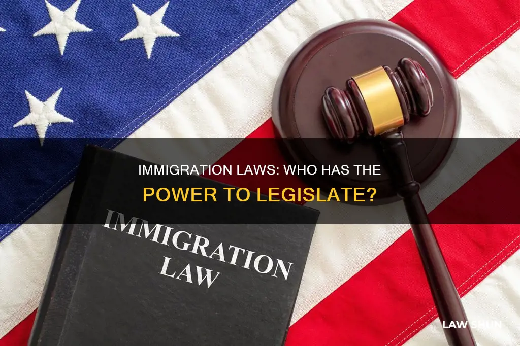 who can make immigration laws