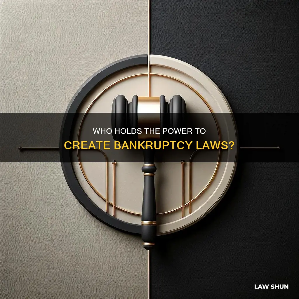 who can make laws governing bankruptcy