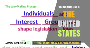Lawmaking Power in the US: Who Decides?