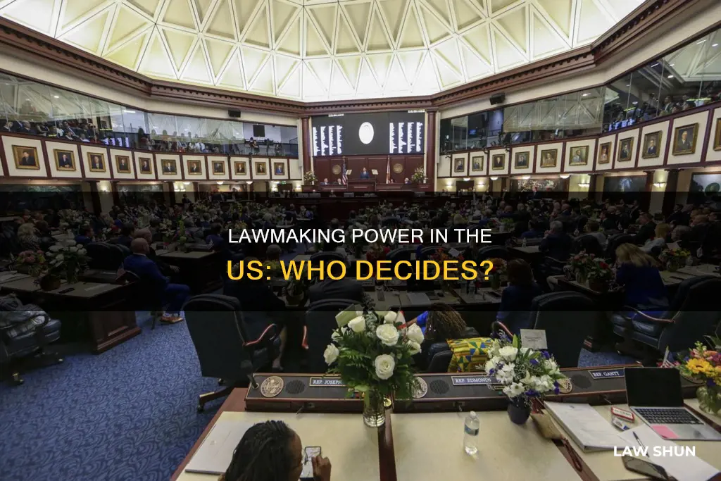 who can make laws in the united states