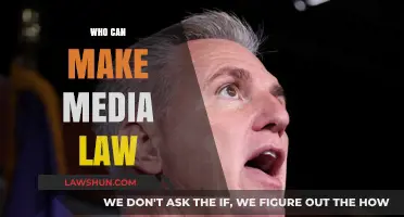 Media Law: Who Should Be the Rulemakers?