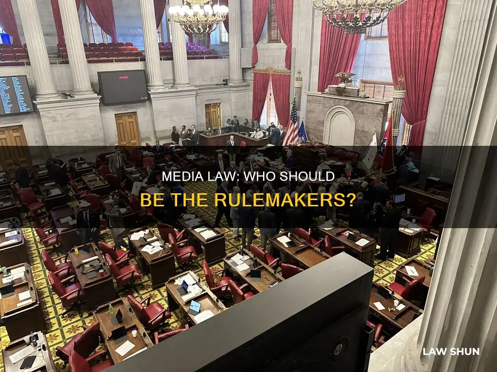 who can make media law