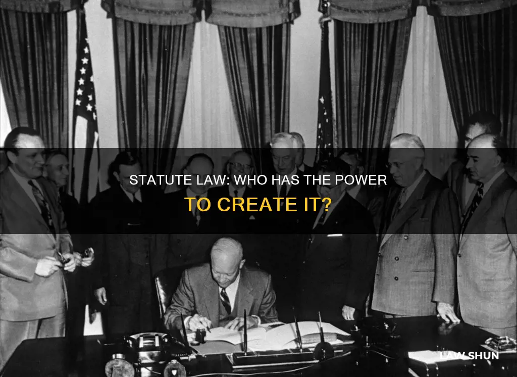 who can make statute law