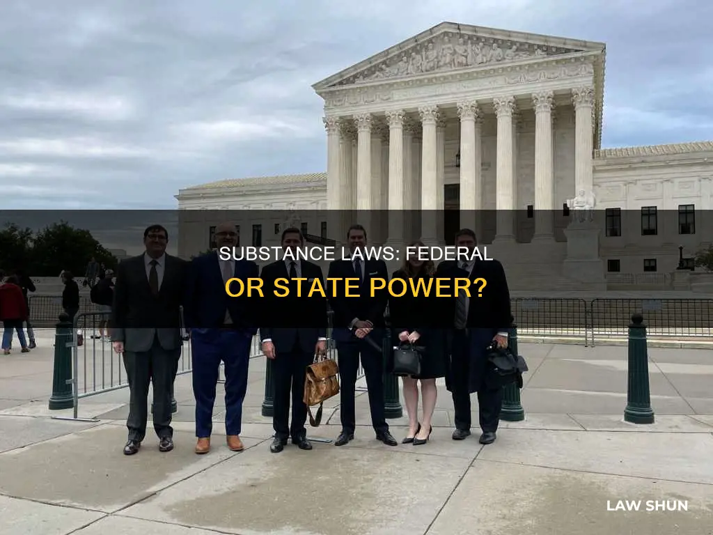 who can make substance law federal or state government