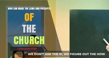 The Church's Lawmakers: Who Are They?
