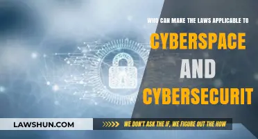 Crafting Laws for Cyberspace and Cybersecurity: Who's Responsible?