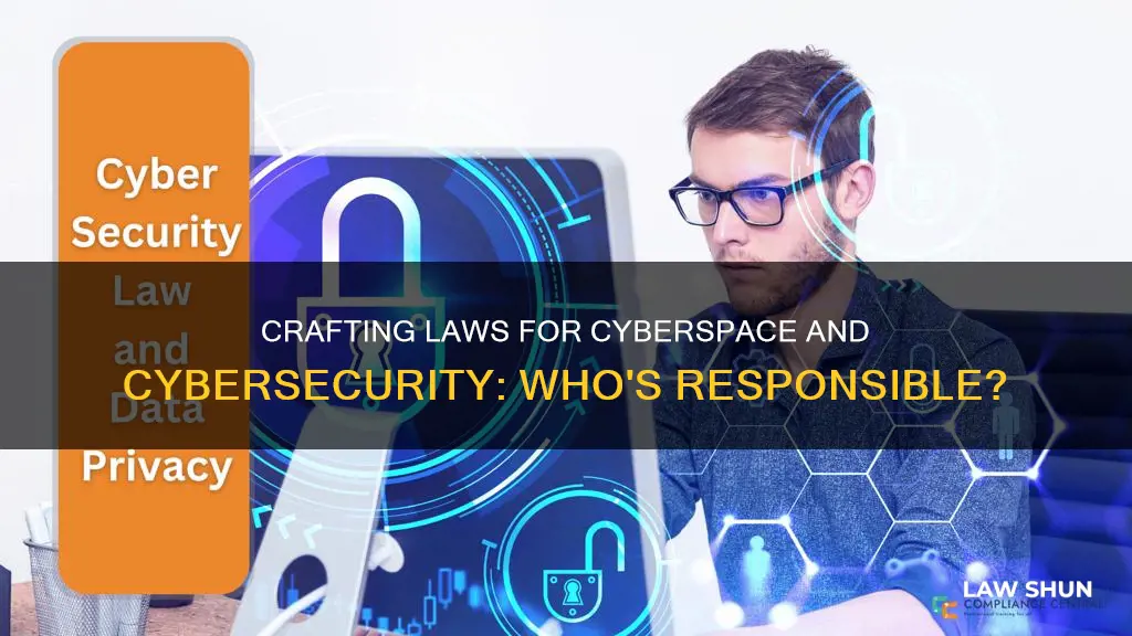 who can make the laws applicable to cyberspace and cybersecurity