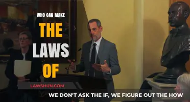 The Lawmakers: Who Makes the Rules?