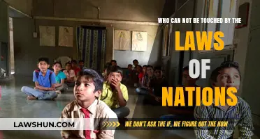 The Untouchables: Evading National Laws