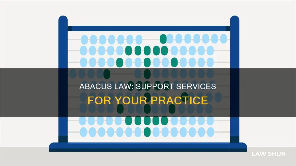 who can offer support for abacus law program