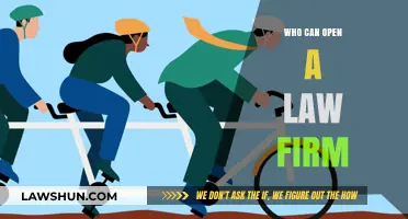 Opening a Law Firm: Who Can Do It?