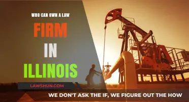 Law Firm Ownership in Illinois: Who Qualifies?