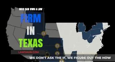 Law Firm Ownership in Texas: Who Can?