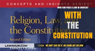 The Constitution: Who Can Pass Conflicting Laws?