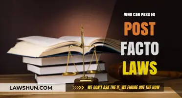Who Can Pass Ex Post Facto Laws?