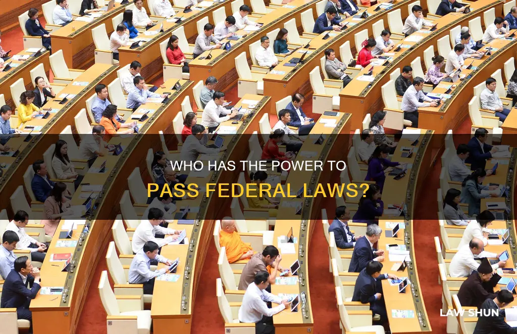 who can pass federal laws