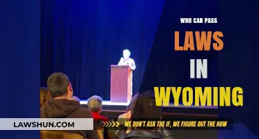 Wyoming's Lawmakers: Who Holds the Power?