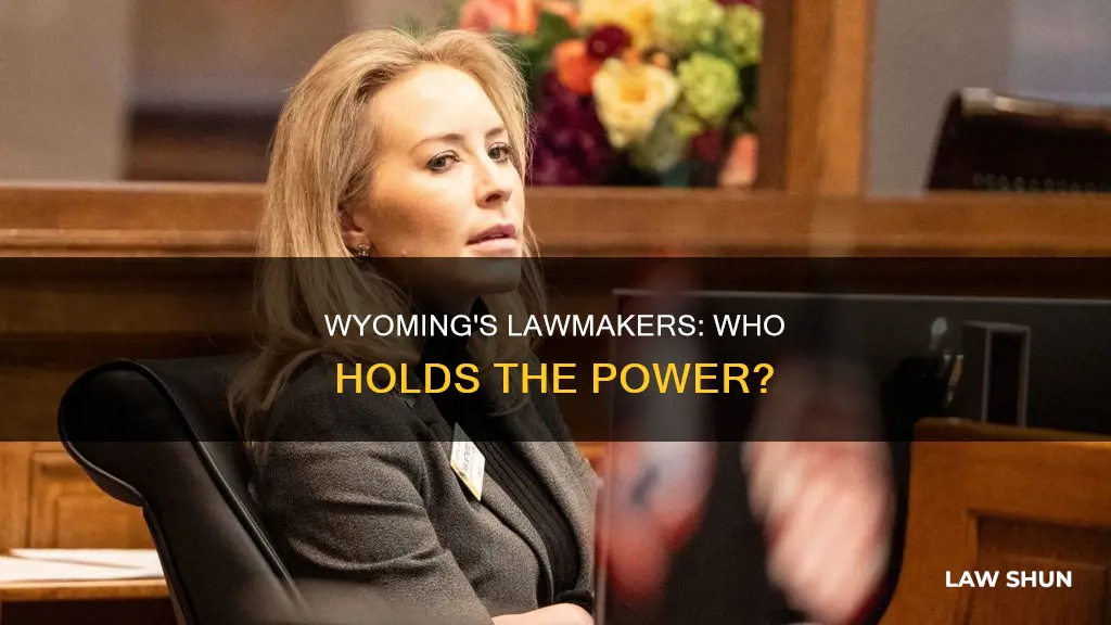 who can pass laws in wyoming