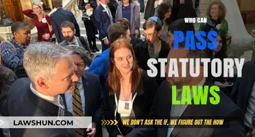 Statutory Laws: Who Has the Power to Pass Them?