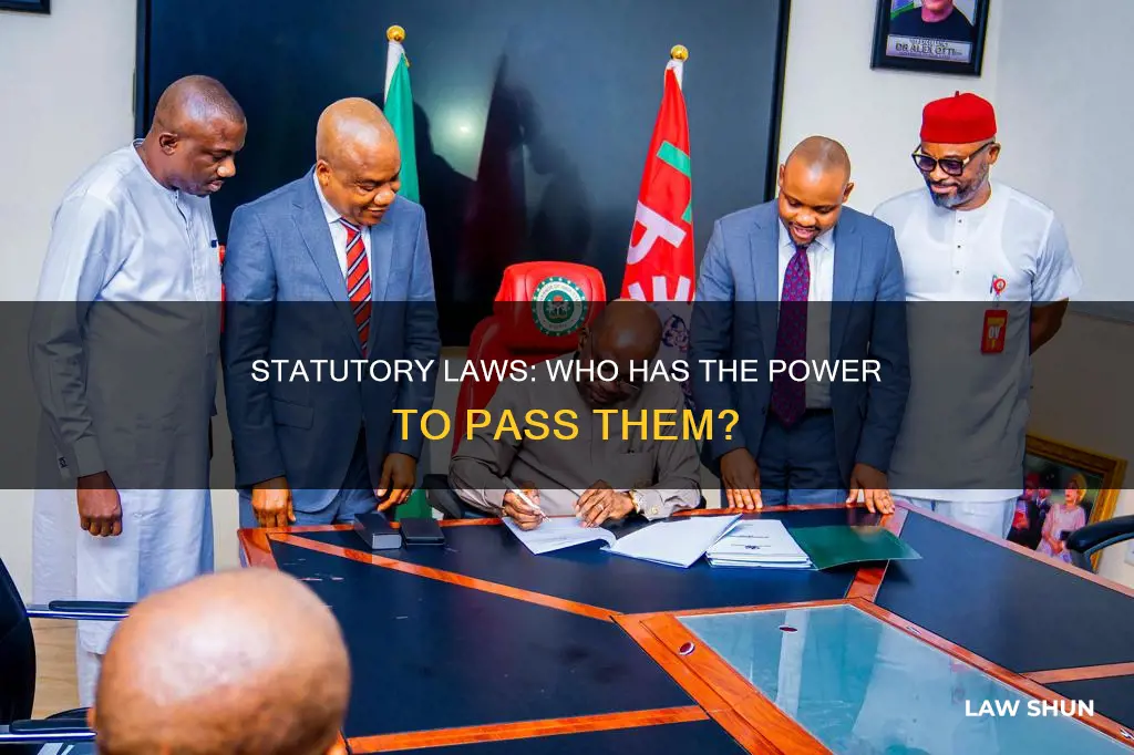who can pass statutory laws