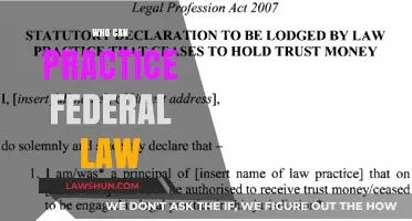 Federal Law: Who Can Practice?