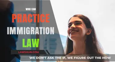 Immigration Law: Who Can Practice?