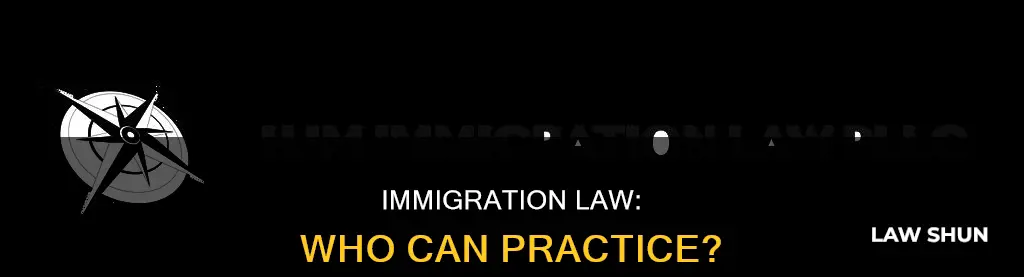 who can practice immigration law