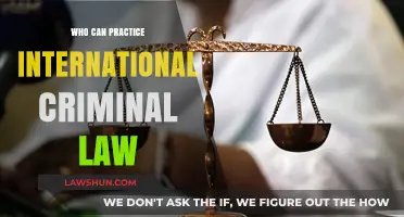 Practitioners of International Criminal Law