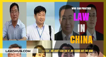 Practicing Law in China: Who Can Do It?
