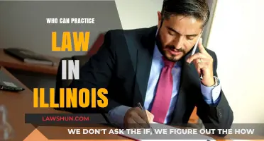Illinois Legal Practice: Who Can Represent?
