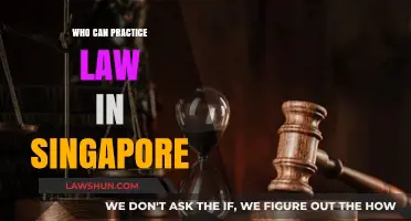 Practicing Law in Singapore: Who Qualifies?