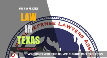 Practicing Law in Texas: Who Can Do It?
