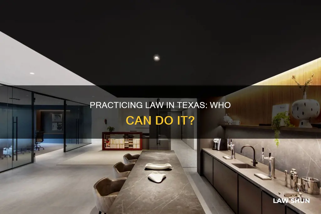 who can practice law in texas