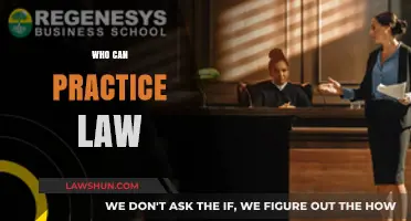 Practicing Law: Who Can Do It?