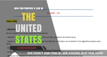 Who Proposes US Laws?