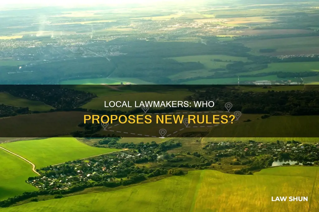 who can propose laws in a town