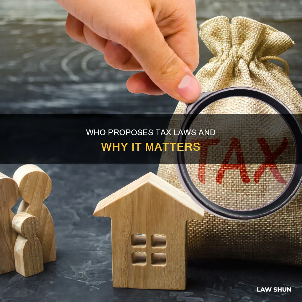 who can propose tax laws