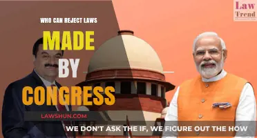 Supreme Court: Congress's Law Rejection