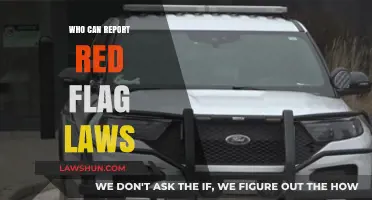Red Flag Laws: Who Can Report and Take Action?
