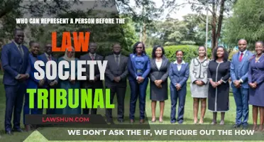 Legal Representation: Who Can Advocate for You?