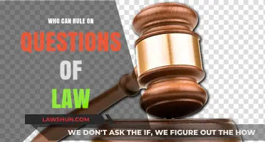 Law Interpretation: Who Decides?