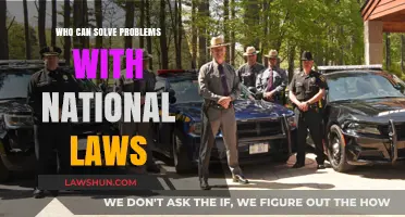 Legal Eagles: Solving National Law Problems