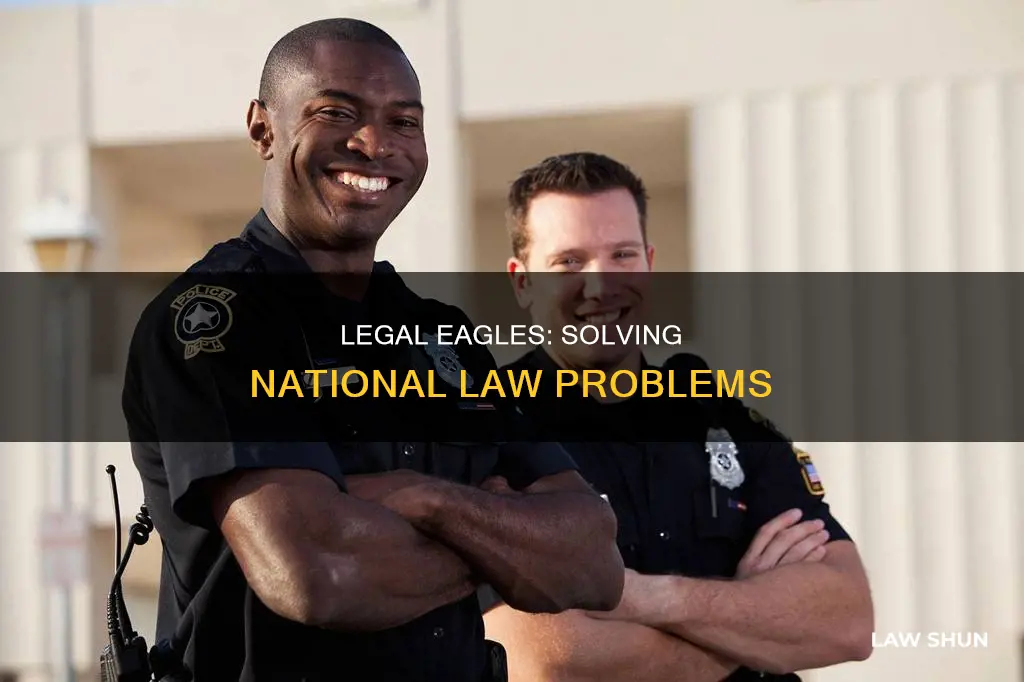 who can solve problems with national laws