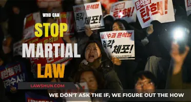 Martial Law: Who Can Intervene?