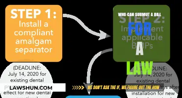 Who Can Propose a Bill? Understanding the Process