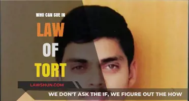 Understanding Who Can Sue in Tort Law