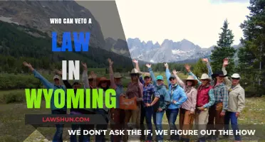Who Holds the Veto Power in Wyoming?