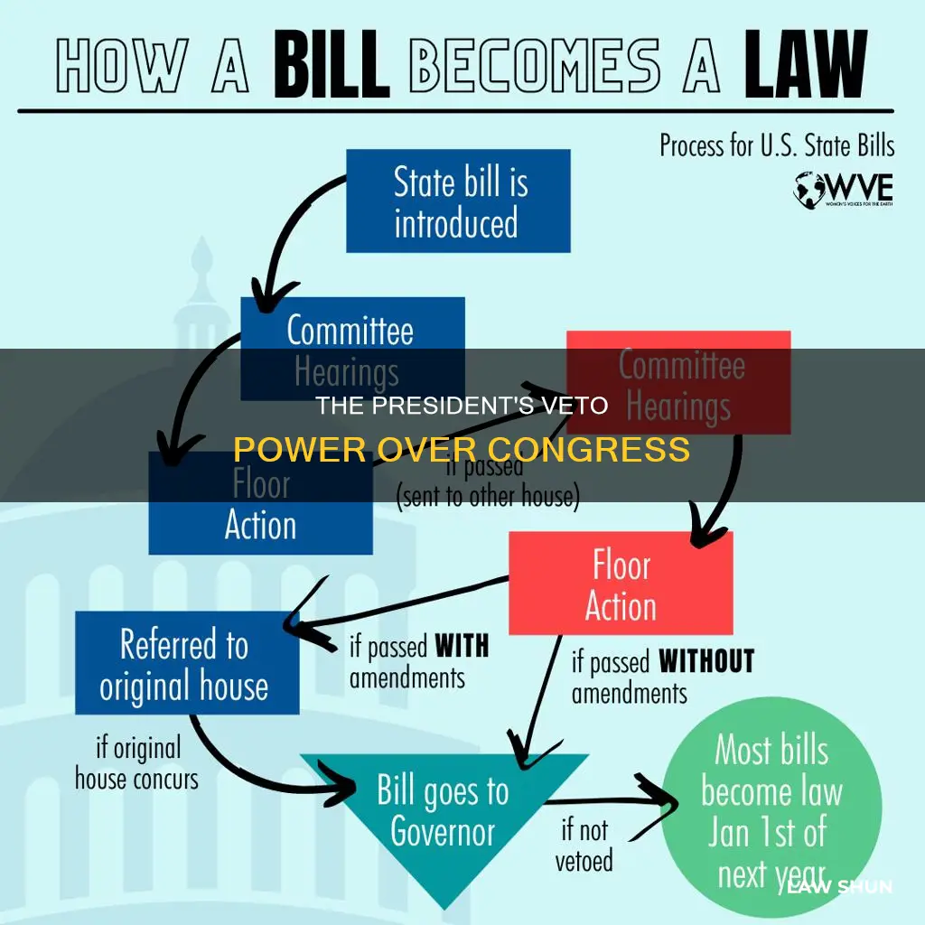 who can veto a law made by congress