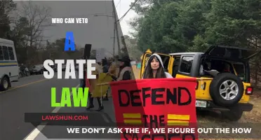 Veto Power: Who Can Overturn State Laws?