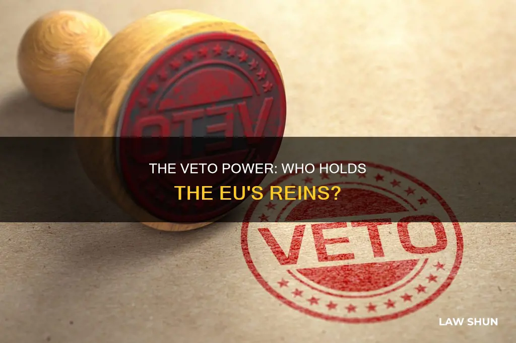 who can veto eu laws
